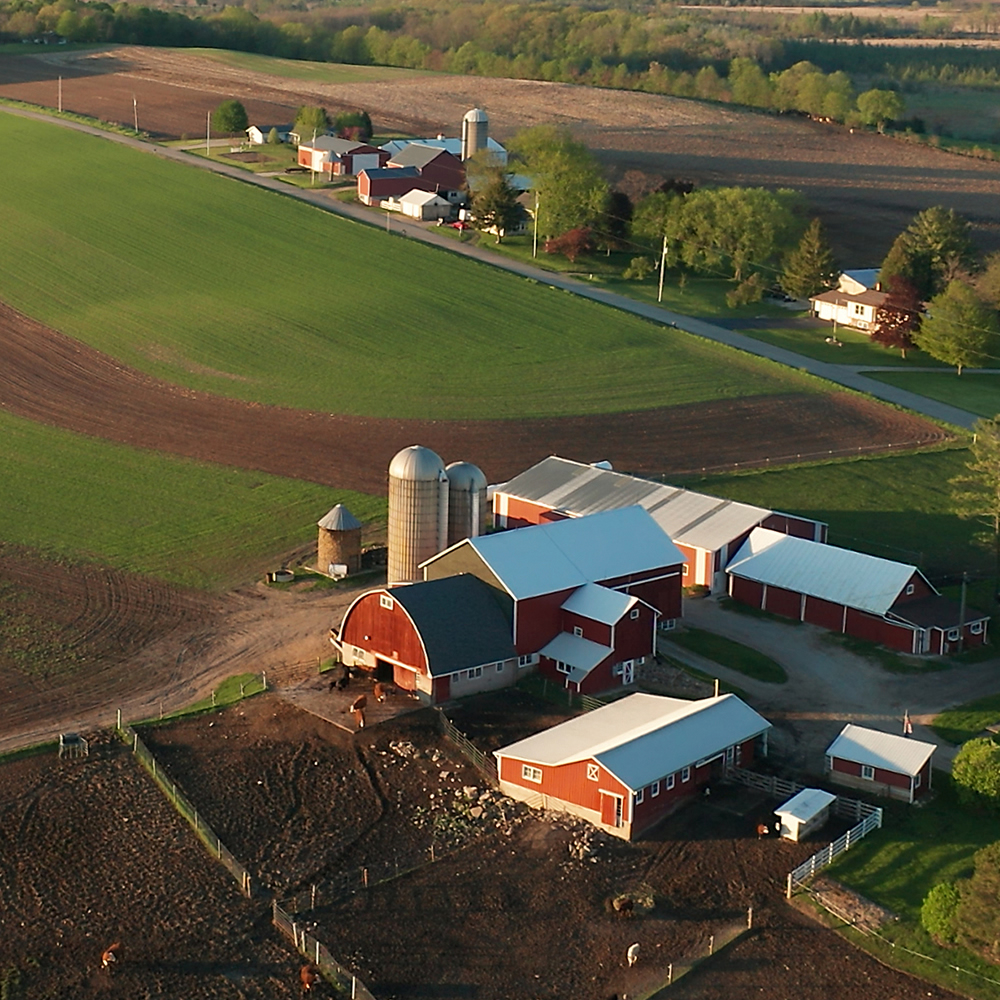 Picture of farm